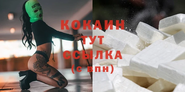 PSILOCYBIN Ладушкин