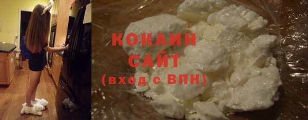 PSILOCYBIN Ладушкин