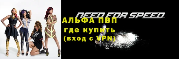 ECSTASY Лабытнанги