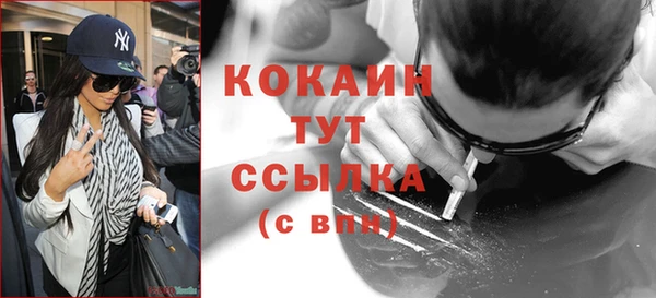 PSILOCYBIN Ладушкин