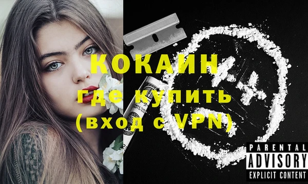 PSILOCYBIN Ладушкин